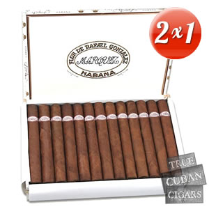 Rafael Gonzalez Lonsdales (2xLess)